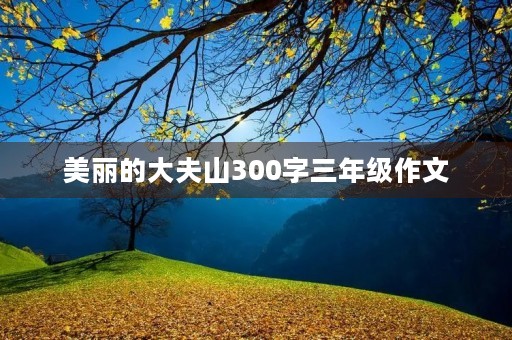 美丽的大夫山300字三年级作文