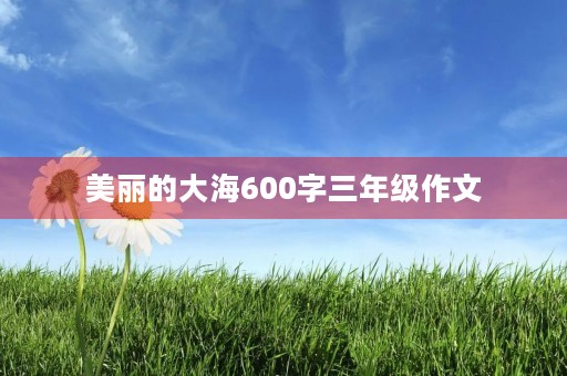 美丽的大海600字三年级作文 美丽的大海600字三年级作文