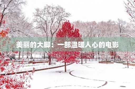 美丽的大脚:一部温暖人心的电影 美丽的大脚:一部温暖人心的电影