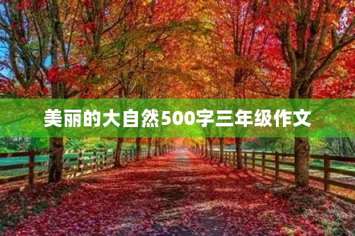 美丽的大自然500字三年级作文