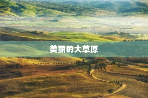 美丽的大草原 美丽的大草原
