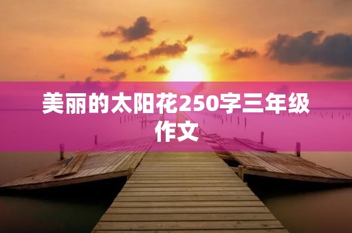 美丽的太阳花250字三年级作文 美丽的太阳花250字三年级作文