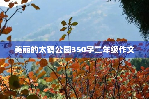 美丽的太鹤公园350字二年级作文