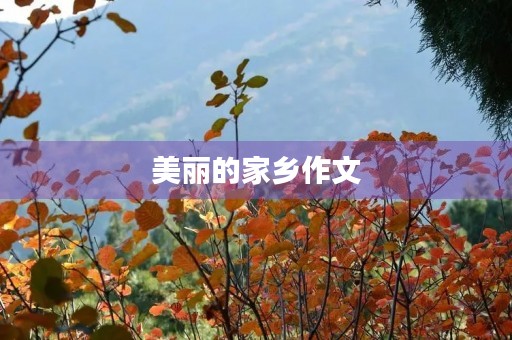 美丽的家乡作文 美丽的家乡作文
