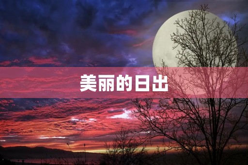 美丽的日出