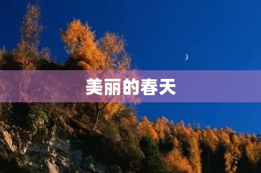 美丽的春天 美丽的春天