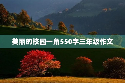 美丽的校园一角550字三年级作文 美丽的校园一角550字三年级作文