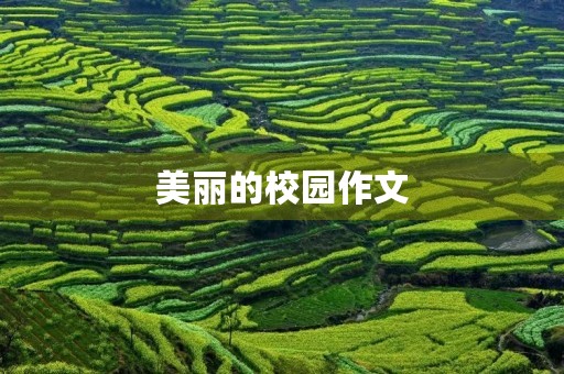 美丽的校园作文 美丽的校园作文