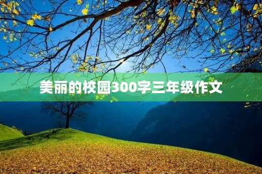 美丽的校园300字三年级作文 美丽的校园300字三年级作文
