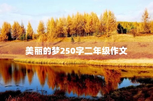 美丽的梦250字二年级作文