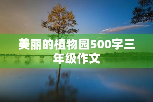 美丽的植物园500字三年级作文