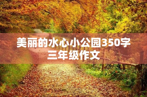美丽的水心小公园350字三年级作文