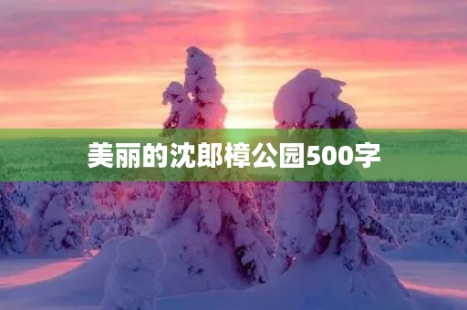 美丽的沈郎樟公园500字