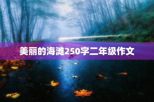 美丽的海滩250字二年级作文