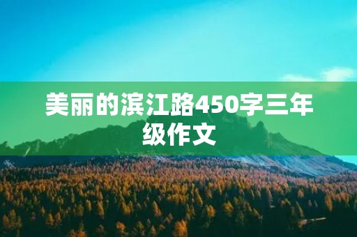 美丽的滨江路450字三年级作文