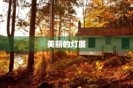 美丽的灯展
