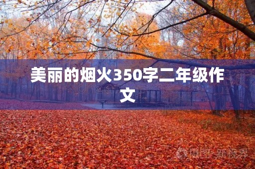 美丽的烟火350字二年级作文