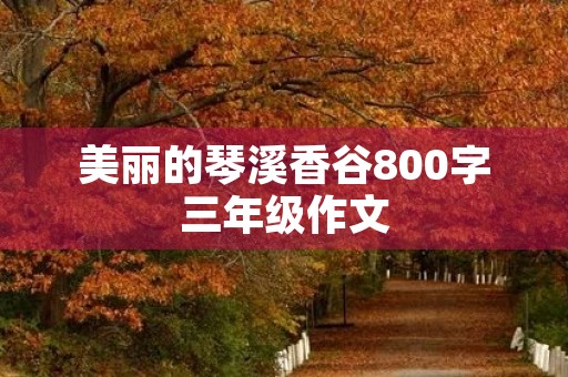美丽的琴溪香谷800字三年级作文 美丽的琴溪香谷800字三年级作文