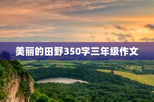 美丽的田野350字三年级作文