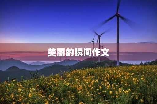 美丽的瞬间作文 美丽的瞬间作文