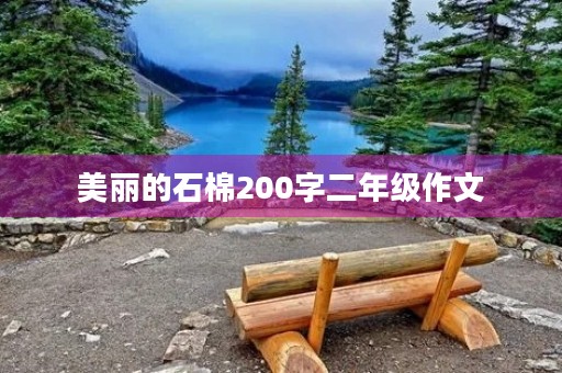 美丽的石棉200字二年级作文