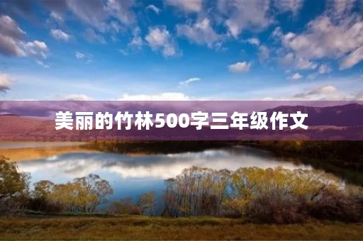 美丽的竹林500字三年级作文