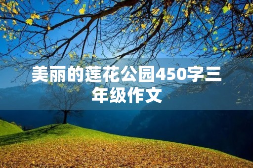 美丽的莲花公园450字三年级作文 美丽的莲花公园450字三年级作文