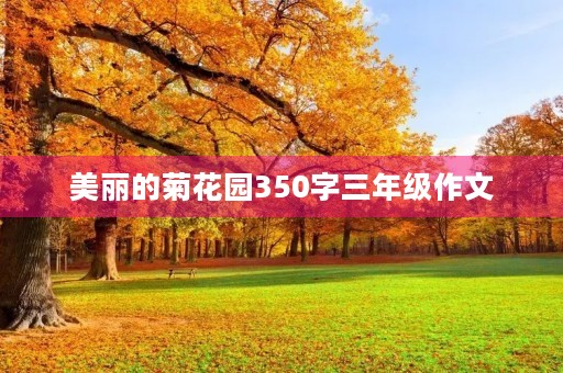 美丽的菊花园350字三年级作文 美丽的菊花园350字三年级作文