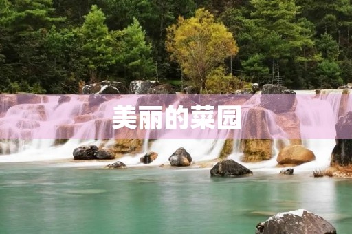 美丽的菜园 美丽的菜园