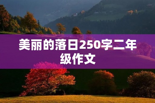 美丽的落日250字二年级作文