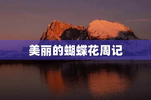 美丽的蝴蝶花周记