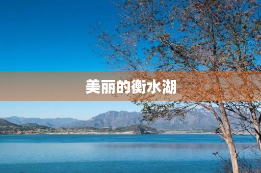 美丽的衡水湖