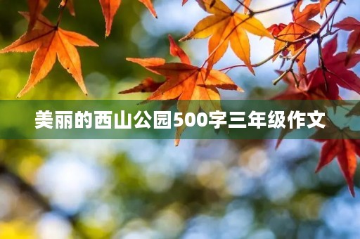 美丽的西山公园500字三年级作文 美丽的西山公园500字三年级作文