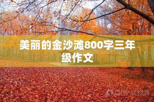 美丽的金沙滩800字三年级作文 美丽的金沙滩800字三年级作文