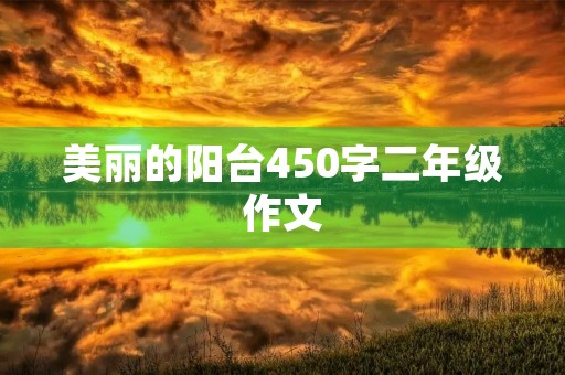 美丽的阳台450字二年级作文