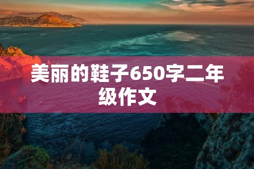 美丽的鞋子650字二年级作文