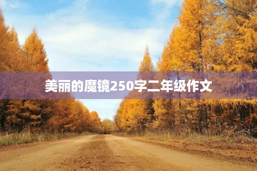 美丽的魔镜250字二年级作文