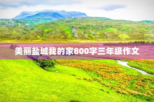 美丽盐城我的家800字三年级作文 美丽盐城我的家800字三年级作文