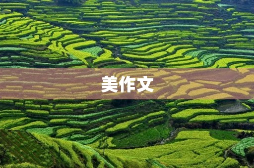 美作文