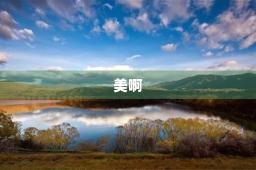 美啊，龙源湖公园650字三年级作文