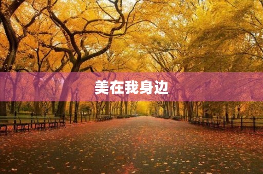 美在我身边，我的日常点滴