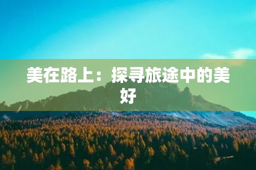 美在路上：探寻旅途中的美好