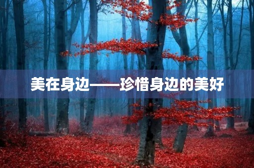 美在身边——珍惜身边的美好