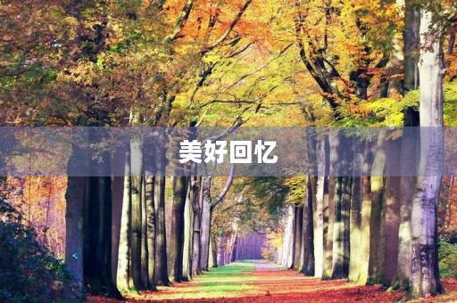 美好回忆，美好憧憬400字二年级作文