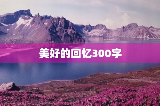 美好的回忆300字 美好的回忆300字