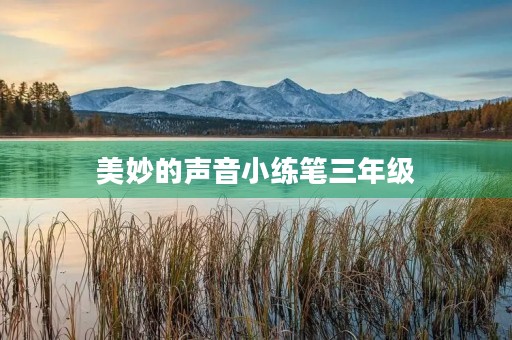 美妙的声音小练笔三年级