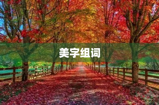 美字组词(美的组词)