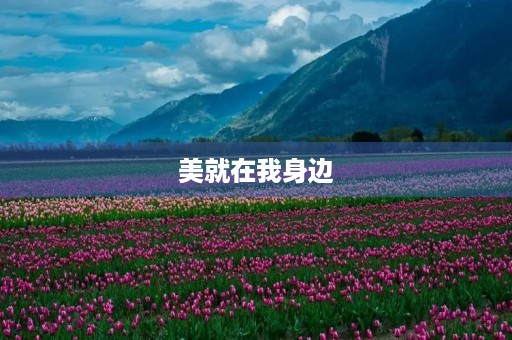 美就在我身边