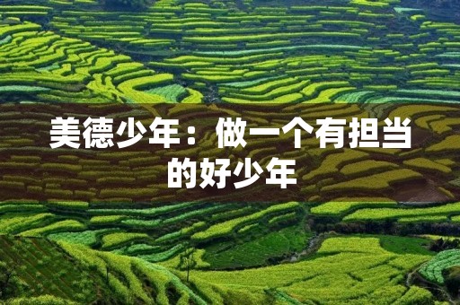 美德少年：做一个有担当的好少年