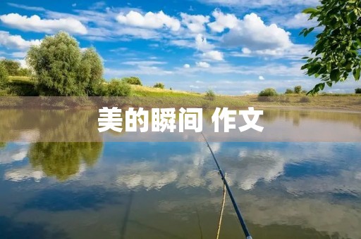 美的瞬间 作文 美的瞬间 作文